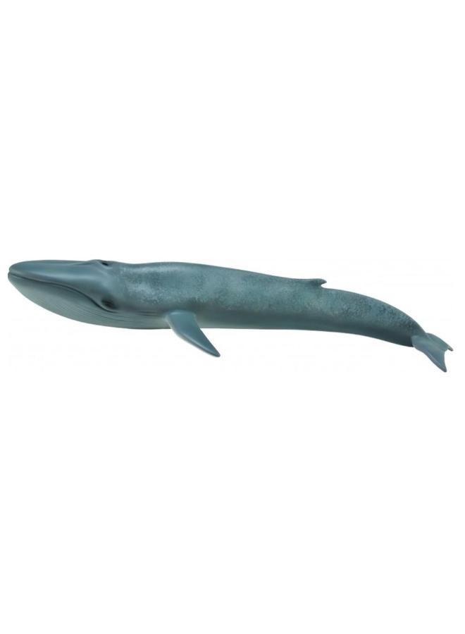 CollectA Blue Whale Figurine