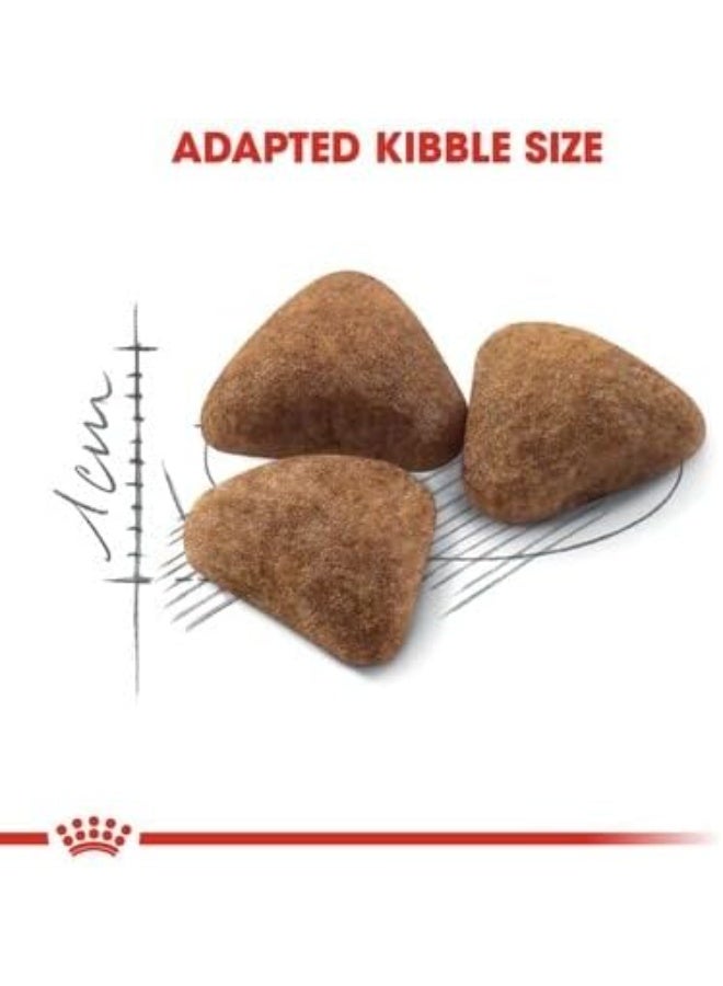 Royal Canin - Feline Health Nutrition Indoor 400g / 2 kg - Image 5