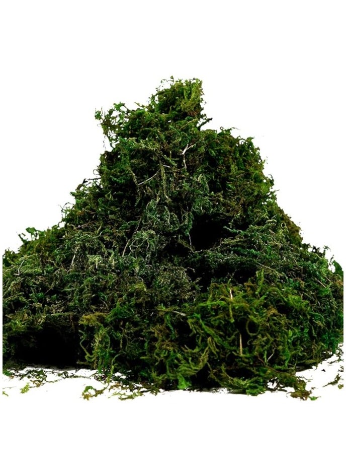 LINGWEI Artificial Moss Fake Green Grass for Centerpieces Home Kitchen Garden Decor 400gm  - Image 1