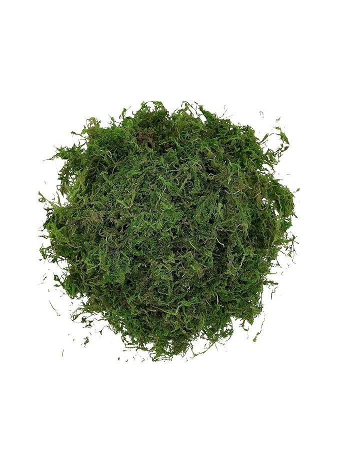 LINGWEI Artificial Moss Fake Green Grass for Centerpieces Home Kitchen Garden Decor 400gm  - Image 2
