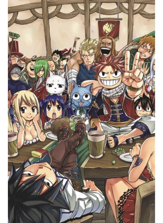 FAIRY TAIL Manga Box Set 5 : 5 