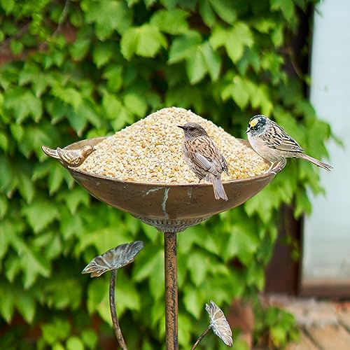 HLQMFHT Diam 11.4" W x 28.5" H Cast Iron Pedestal Bird Bath, Bird Baths for Outdoors,Vintage Metal Bird Bath Garden Yard Decoration - Image 2