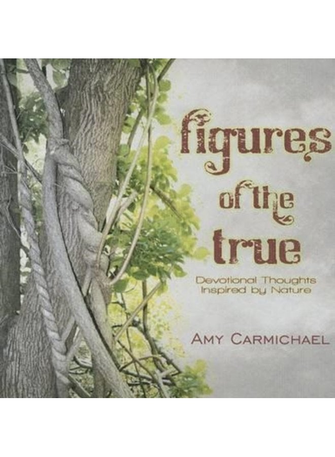 FIGURES OF THE TRUE - Paperback