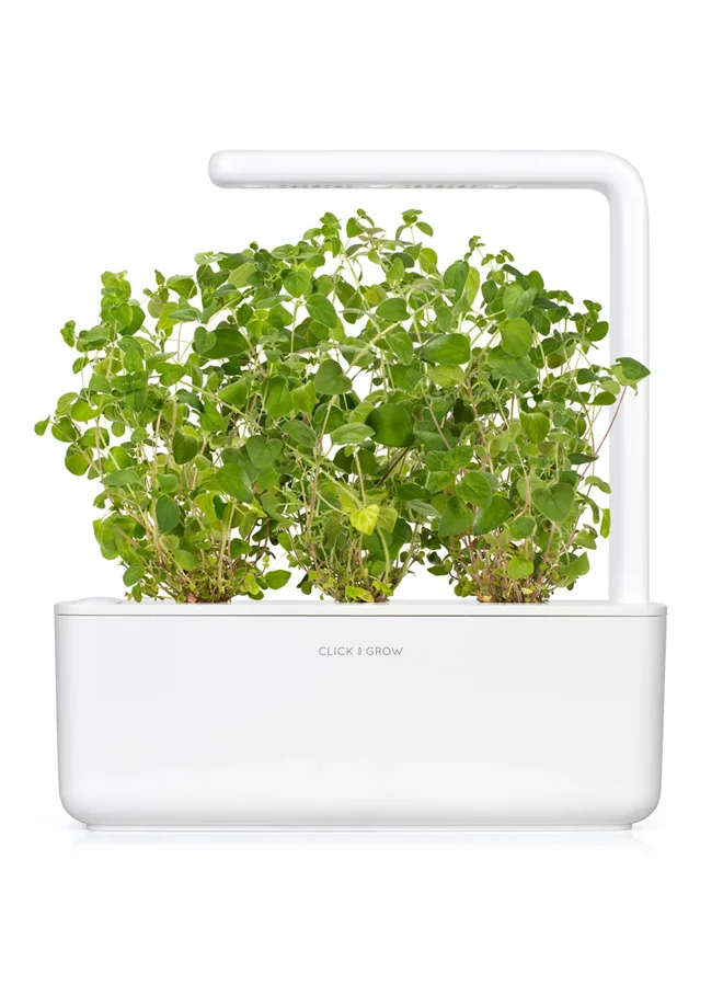 Click & Grow CLICK & GROW OREGANO SMART GARDEN REFILL