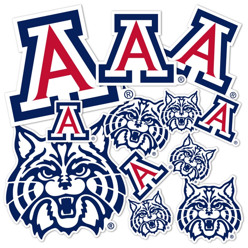 Desert Cactus University of Arizona Sticker UA Wildcats Sticker Vinyl Decals Laptop Water Bottle Car Scrapbook Sheet T1 Type 11