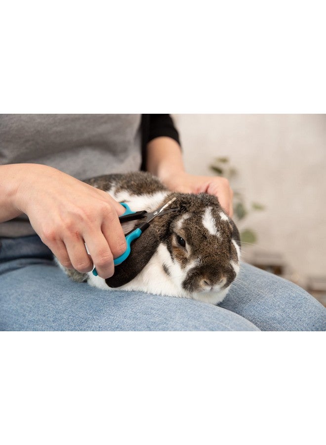 تريكسي مقص الوجه والمخالب للكلاب، 9 سم - Image 5