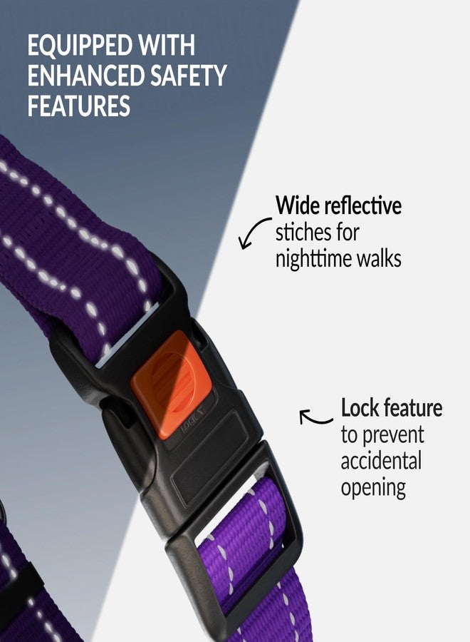 CollarDirect Martingale Dog Collar Heavy Duty Nylon Slip Collars for Small Medium Large Dogs [Stainless Steel Chain and Quick Release Buckle, Reflective, Purple, L, 17"-22"] - Image 3