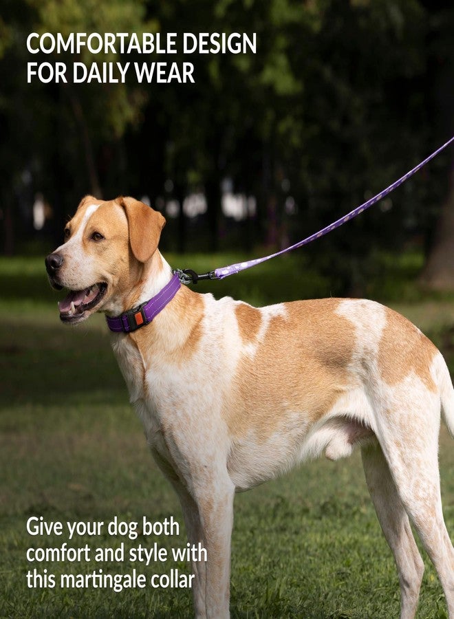 CollarDirect Martingale Dog Collar Heavy Duty Nylon Slip Collars for Small Medium Large Dogs [Stainless Steel Chain and Quick Release Buckle, Reflective, Purple, L, 17"-22"] - Image 5