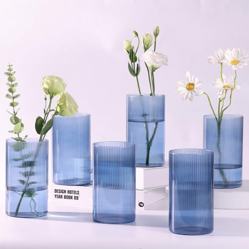 TripodBird Glass Cylinder Vases, Blue Vase for Centerpieces, 6 Inch Tall Flower Vase for Wedding Decorations, Floral Vase Bulk Flower vases, Glass Hurricane Candle Holder for Table Centerpiece Wedding Home Décor - Image 1