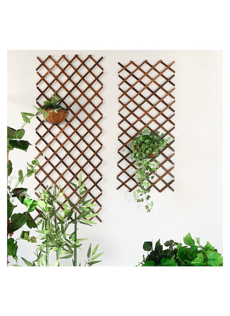 LINGWEI LINGWEI Wooden Expandable Garden Fence Natural Willow Expanding Wicker Decorative Balcony Garden Trellis for Climbing Plants Support Wall Planter Retractable Wooden Lattice (75cm)  - Image 2