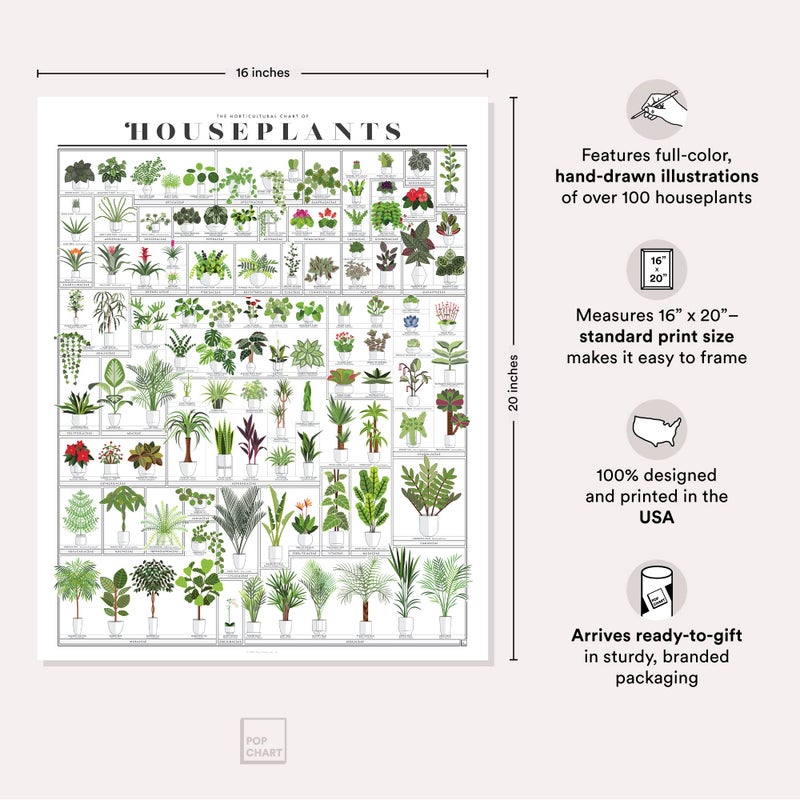 Pop Chart Lab Pop Chart | Horticultural Chart of Houseplants | 16" x 20" Wall Art | Botanical Poster | Earthy Wall Decor | 100% Made in the USA - Image 2