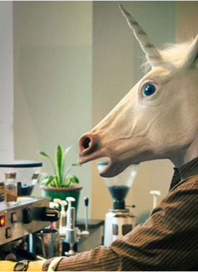 NIBEMINENT - Unicorn Horse Head Mask - Image 1