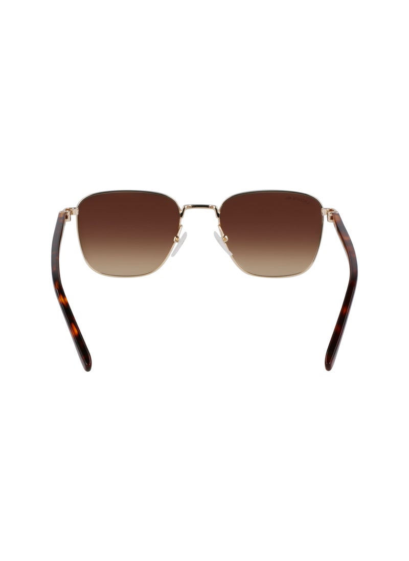 FULL RIM ACETATE METAL LACOSTE SUNS L265S 5320 (714) GOLD