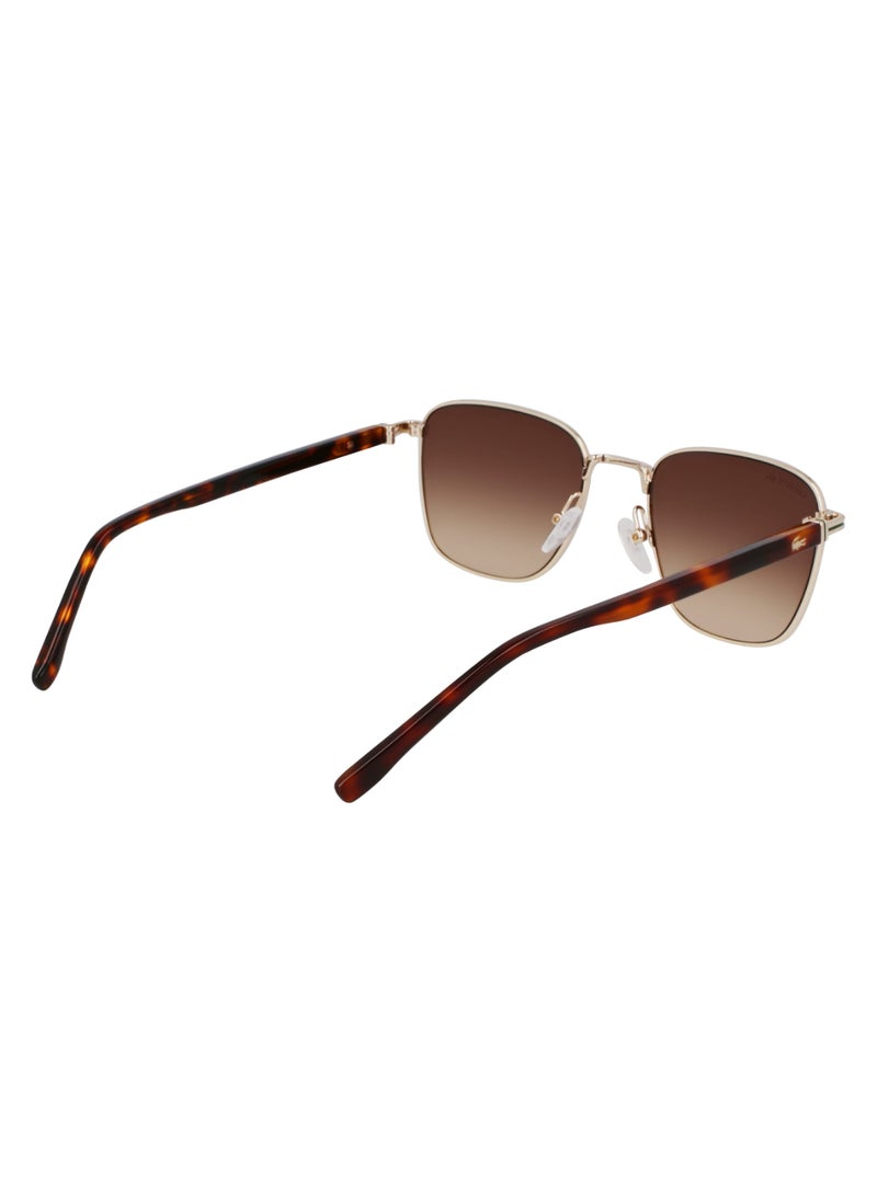 FULL RIM ACETATE METAL LACOSTE SUNS L265S 5320 (714) GOLD