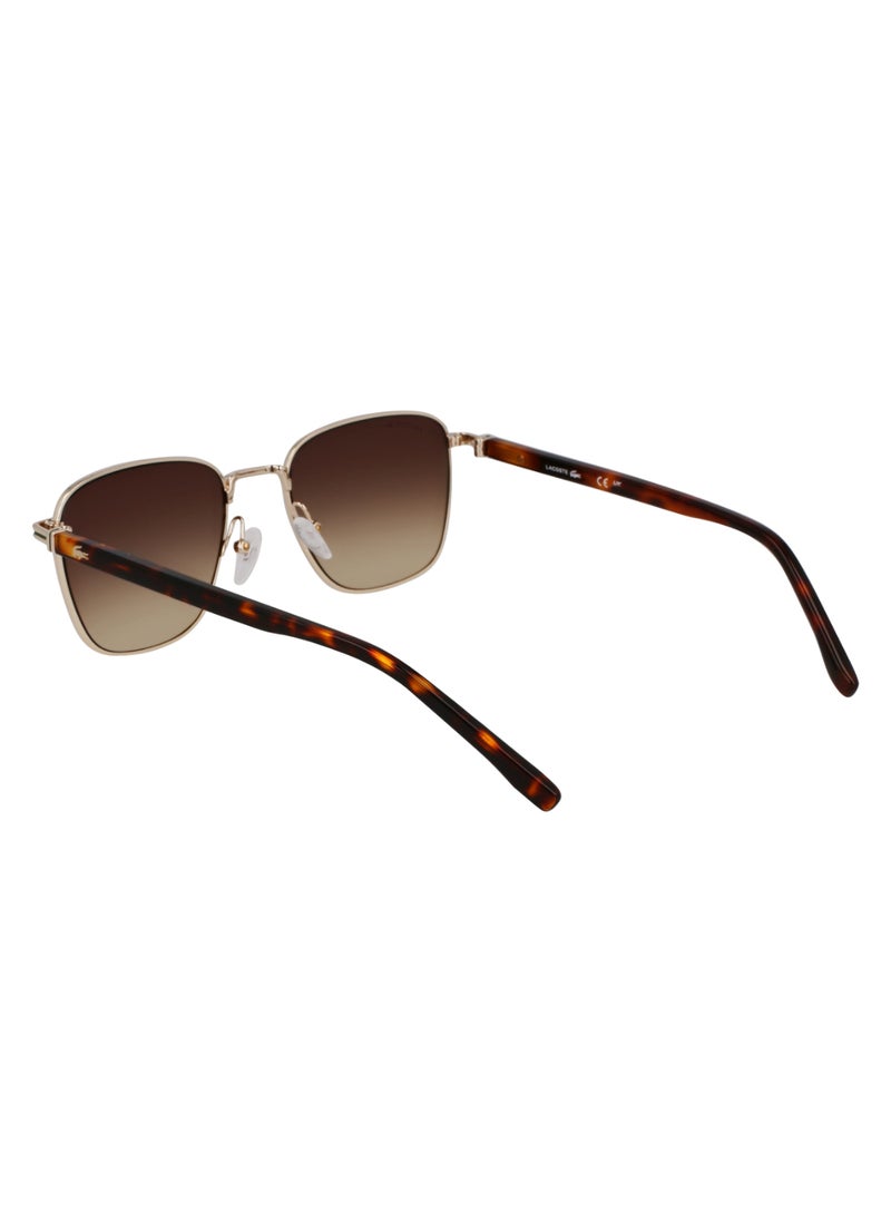 FULL RIM ACETATE METAL LACOSTE SUNS L265S 5320 (714) GOLD