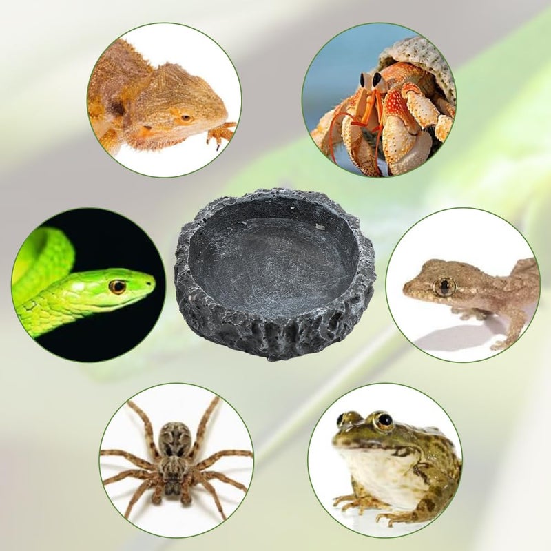 Reptile Bowls, 2 Pcs Reptile Feeding Dish with Clamp & Shovel, Resin Rock Reptile Water & Food Bowls, Amphibian Reptile Feeding Terrarium Bowls for Gecko Lizard Spider Scorpion Chameleon - Image 4
