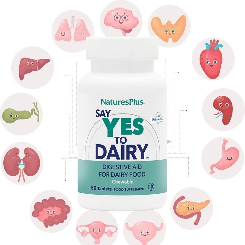 Natures Plus NaturesPlus Say Yes to Dairy Natural Lactase Enzyme Supplement High Strength Lactose Intolerance Relief Gluten Free Vegan 60 Chewable Tablets - Image 5
