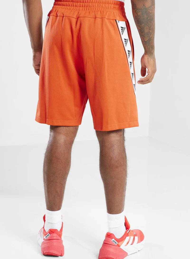 Adidas Logo Shorts