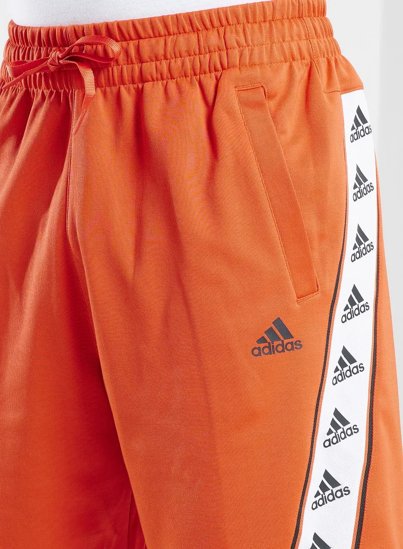 Adidas Logo Shorts
