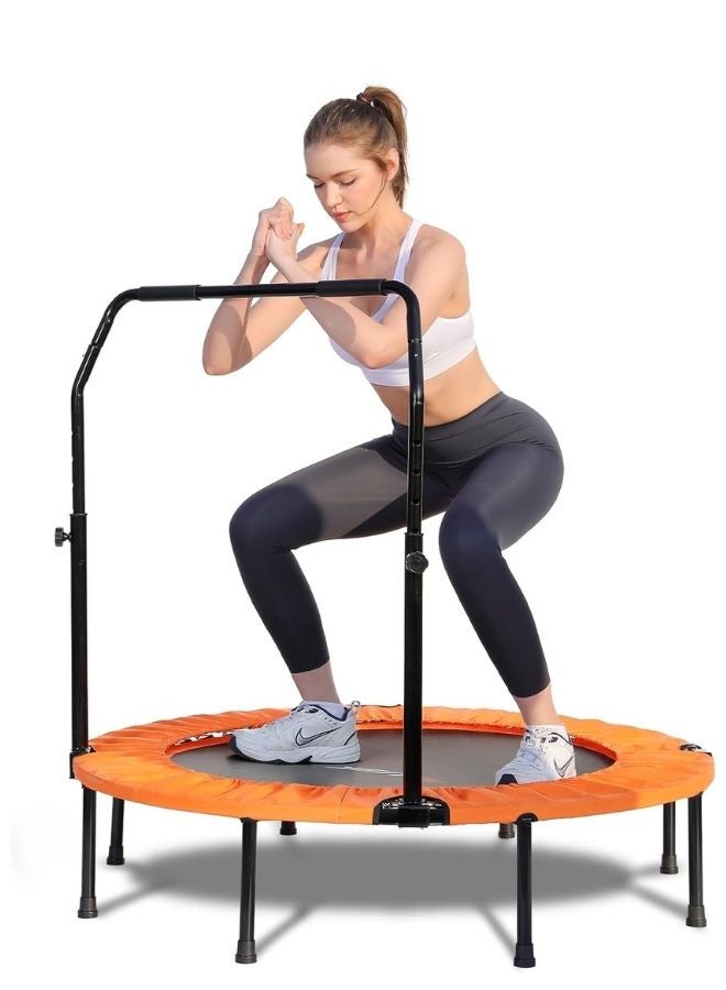Home Exercise Trampoline with Support Handle Cardio and Muscle Strengthening Exercises Suitable for Men and Women - Image 1