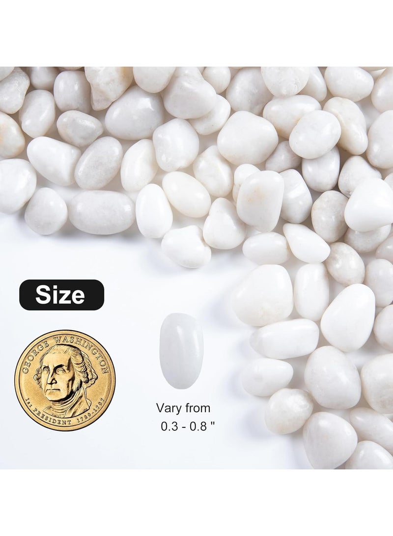 RR BRAND White River Rock- High Polished Pebbles for Indoor Plants-1.5kg Decorative Stones for Aquarium Fish Tank - White Rocks for Outdoor Garden Landscaping - 0.3"-0.8" - Image 2