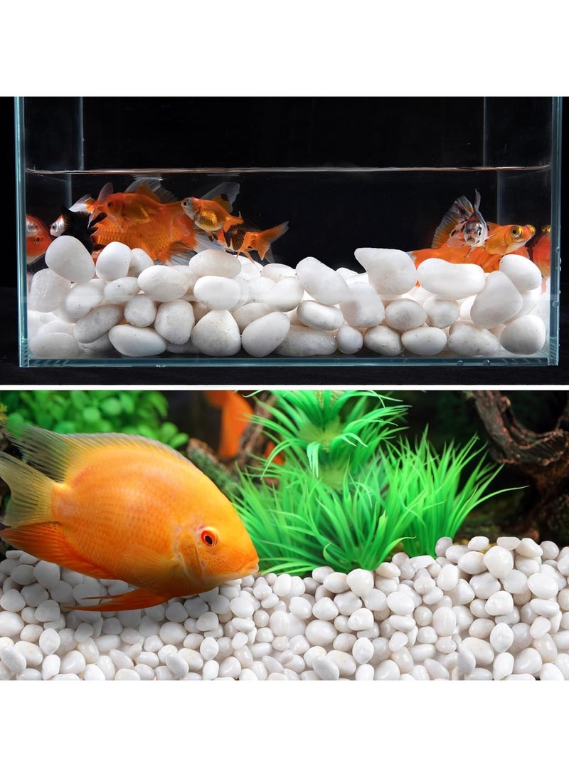 RR BRAND White River Rock- High Polished Pebbles for Indoor Plants-1.5kg Decorative Stones for Aquarium Fish Tank - White Rocks for Outdoor Garden Landscaping - 0.3"-0.8" - Image 3
