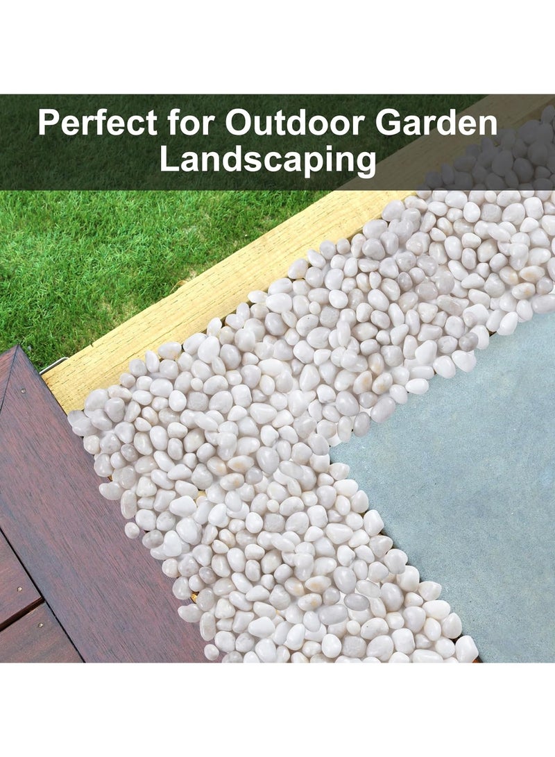 RR BRAND White River Rock- High Polished Pebbles for Indoor Plants-1.5kg Decorative Stones for Aquarium Fish Tank - White Rocks for Outdoor Garden Landscaping - 0.3"-0.8" - Image 4