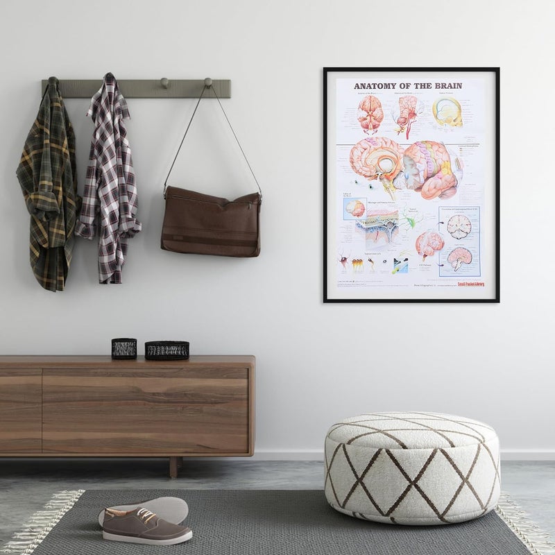 Ipetboom Human Anatomy Poster 50x70cm Unframed Canvas Educational Brain Anatomy Chart Wall Art for Classroom Office Science Teaching - Image 4