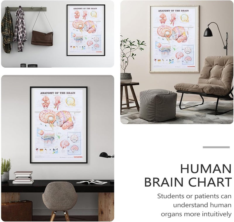 Ipetboom Human Anatomy Poster 50x70cm Unframed Canvas Educational Brain Anatomy Chart Wall Art for Classroom Office Science Teaching - Image 5