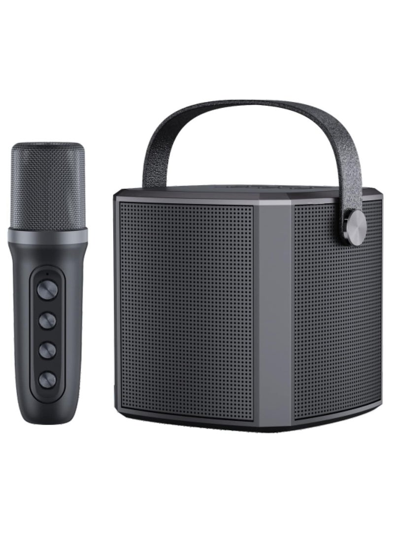 TIGER YS-102 Bluetooth Speaker & Karaoke Microphone Combo – Portable Outdoor Karaoke System with High-Quality Sound – Small Family KTV Speaker for Kids and Adults – Wireless Bluetooth Connectivity – Perfect for Parties and Singing Fun  - Image 1