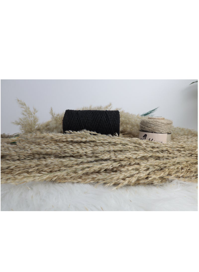 انتيكيانو مجدول بيور - Image 1