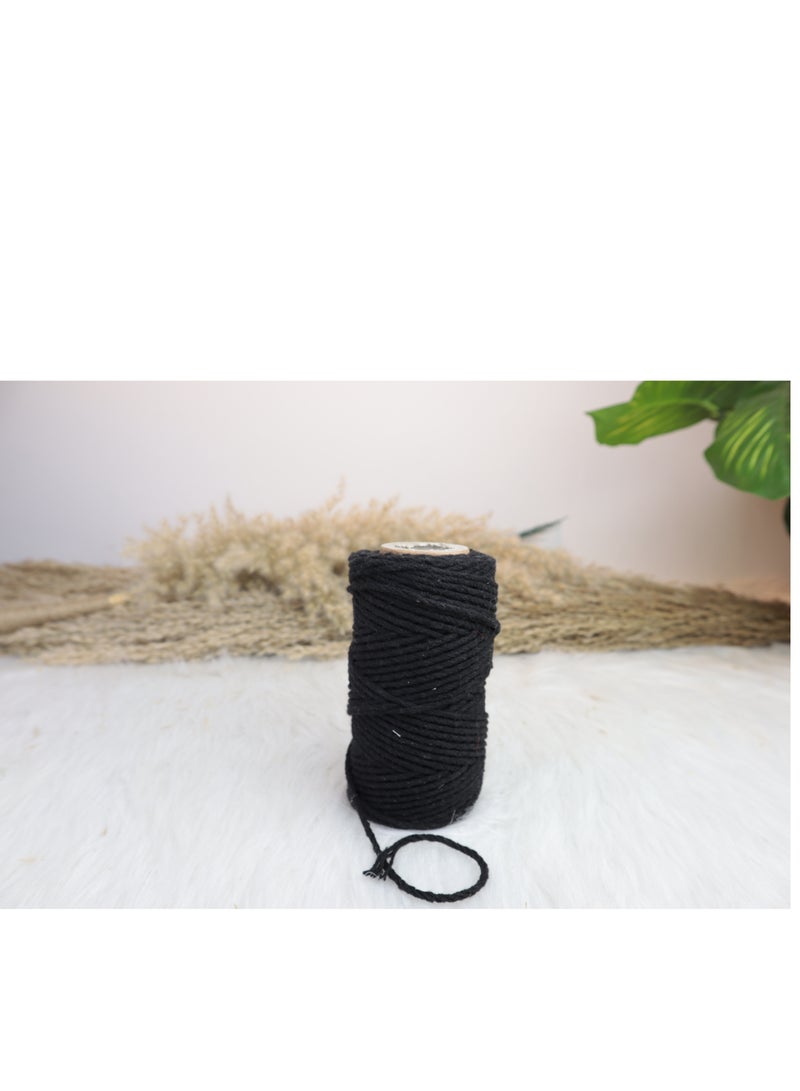 انتيكيانو مجدول بيور - Image 2