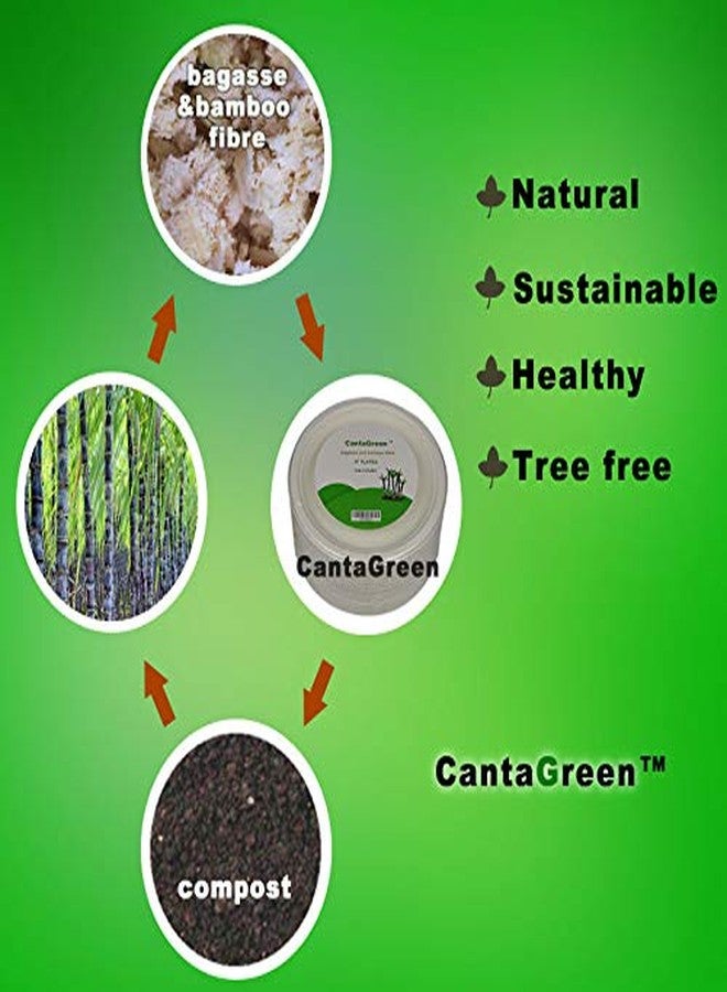 CantaGreen 200 Count 6 Inch Small Heavy Duty Compostable Dessert Plates, Biodegradable Bagasse and Bamboo Fiber Paper Plate - Image 5
