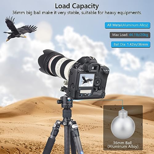 ARTCISE Low Profile Tripod Ball Head 36mm Stability Panoramic Tripod Head 360 Rotating Metal Ballhead with 1/4 inch Arca QR Plate for DSLR Cameras Tripods Monopods Camcorder Slider Max Loading 44.1lbs/20kg - Image 2
