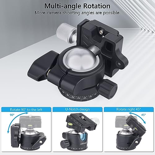 ARTCISE Low Profile Tripod Ball Head 36mm Stability Panoramic Tripod Head 360 Rotating Metal Ballhead with 1/4 inch Arca QR Plate for DSLR Cameras Tripods Monopods Camcorder Slider Max Loading 44.1lbs/20kg - Image 5