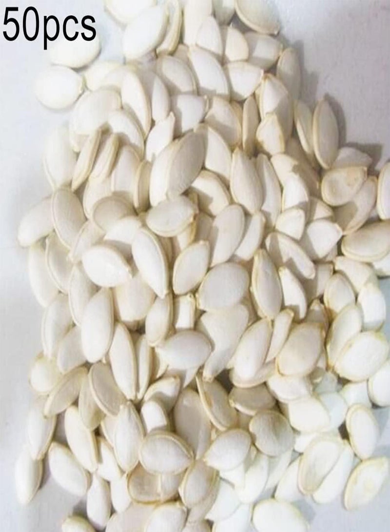 جي جوت مجموعة أدوات زراعة 50 قطعة من بذور التين للحديقة والشرفة | نباتات بونساي داخلية وخارجية سهلة النمو، شتلات فواكه استوائية، بذور تين 1 - Image 2