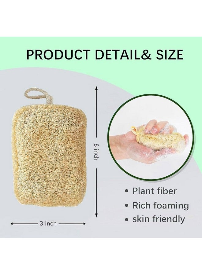 ONEarth Organic Natural Loofah Body Scrubber [Pack of 2- Rectangular Shape] - Image 3
