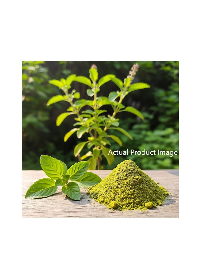 مملكة الإكسسوارات مسحوق تولسي (٥٠ غرامًا) - طبيعي ونقي ١٠٠٪ | مناسب للشعر والبشرة | يغذي الشعر، يقلل تساقطه، ويحفز نموه | يهدئ فروة الرأس، يحسن ملمس البشرة، ويتحكم في إفراز الزيوت. - Image 4