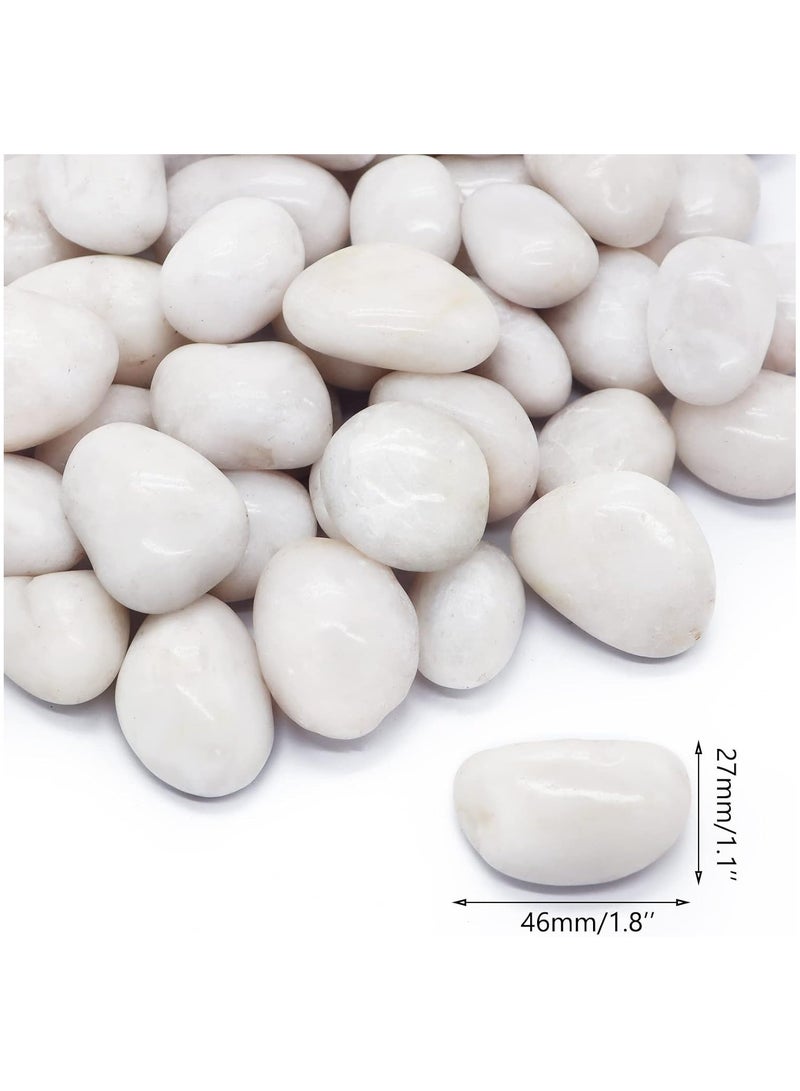 Home zone River Rock Stones Pebbles 2-3cm Natural Decorative Polished Mixed White Pebbles Gravel for Garden Plant Pots Landscaping Terrariums Vase Fillers 2.2lb (1 KG)  - Image 2