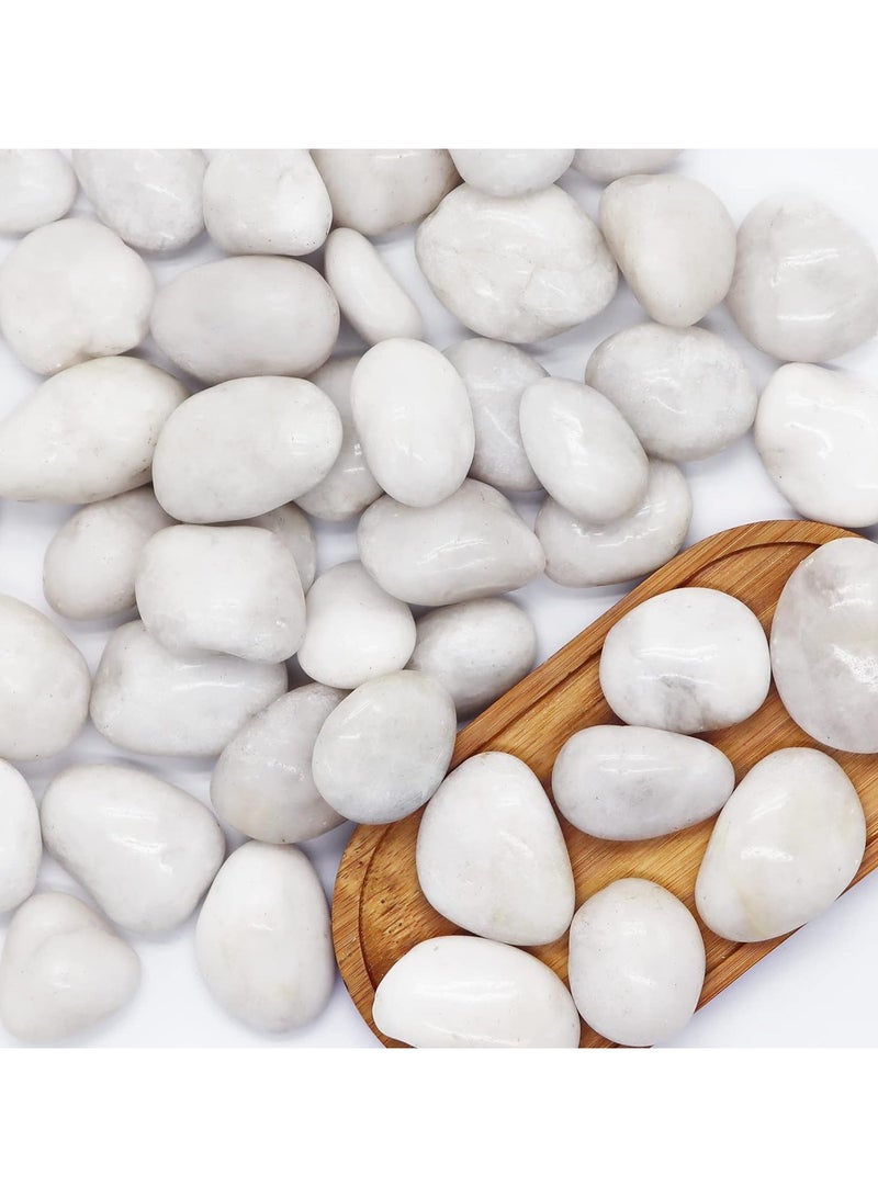 Home zone River Rock Stones Pebbles 2-3cm Natural Decorative Polished Mixed White Pebbles Gravel for Garden Plant Pots Landscaping Terrariums Vase Fillers 2.2lb (1 KG)  - Image 3
