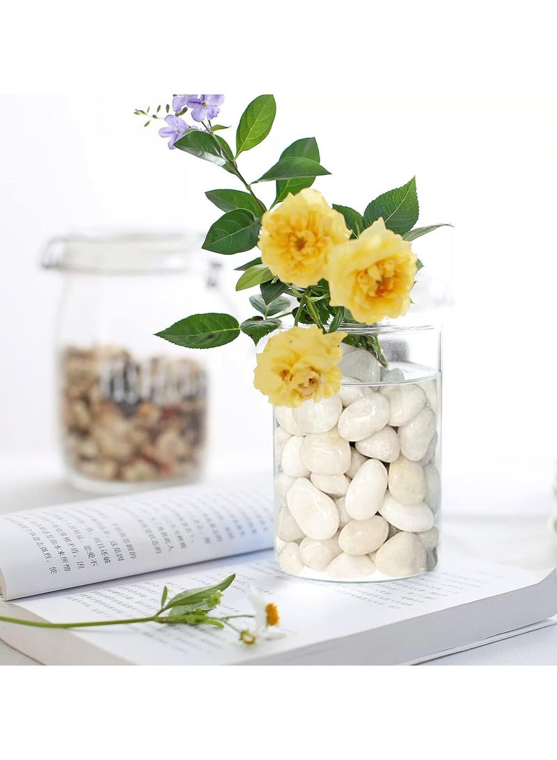 Home zone River Rock Stones Pebbles 2-3cm Natural Decorative Polished Mixed White Pebbles Gravel for Garden Plant Pots Landscaping Terrariums Vase Fillers 2.2lb (1 KG)  - Image 4
