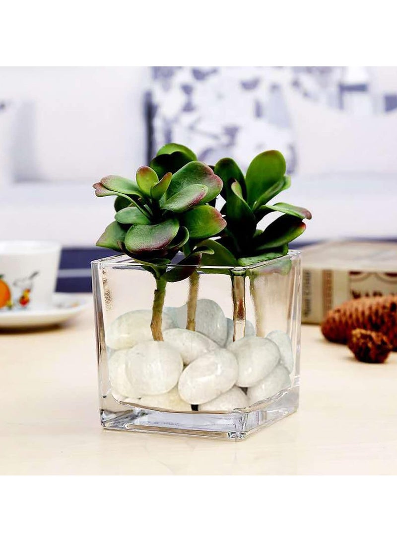 Home zone River Rock Stones Pebbles 2-3cm Natural Decorative Polished Mixed White Pebbles Gravel for Garden Plant Pots Landscaping Terrariums Vase Fillers 2.2lb (1 KG)  - Image 5