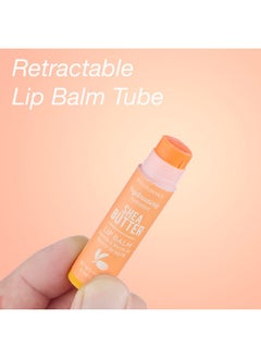 Expressions Expressions 10pc Lip Balm Collection -Hydrating Lip Balms Infused- Enriched Lip Balm Set  - Image 3