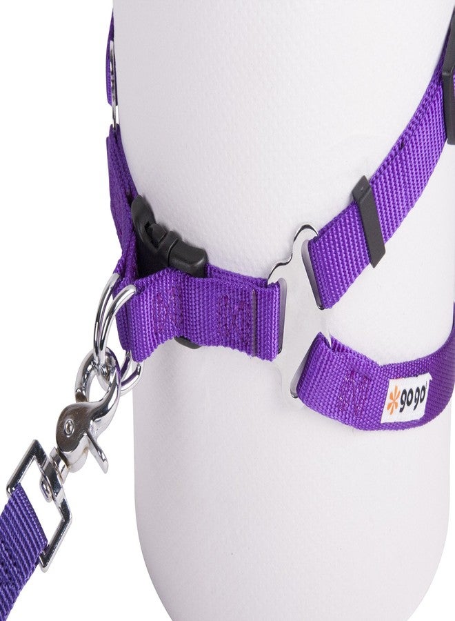 جوجو حزام صدر مريح للحيوانات الأليفة من النايلون قابل للتعديل مقاس 3/8 بوصة من GOGO Pet Products، صغير جدًا، بنفسجي - Image 2