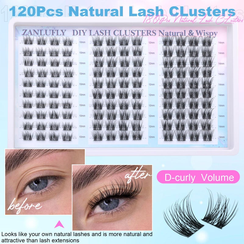 zanlufly Lash Clusters Natural Eyelash Clusters D-Curly Cluster Lashes zanlufly Wispy Individual Lashes Cluster Eyelash Extension 10 12 14MM DIY Lash Extension - Image 5