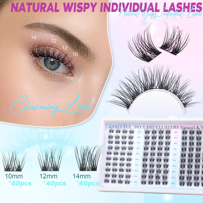 zanlufly Lash Clusters Natural Eyelash Clusters D-Curly Cluster Lashes zanlufly Wispy Individual Lashes Cluster Eyelash Extension 10 12 14MM DIY Lash Extension - Image 2