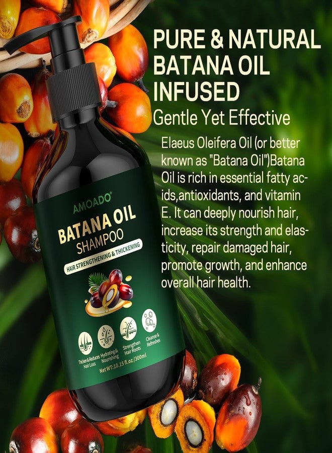 AMOADO Batana Oil Shampoo for Hair Growth, Strengthening, Thickening, Sulfate Free Hair Shampoo for Women & Men with Thinning Hair & Hair Loss, Infused Rosemary, Tea Tree Oil & Mint, 10.15 fl.oz - Image 5