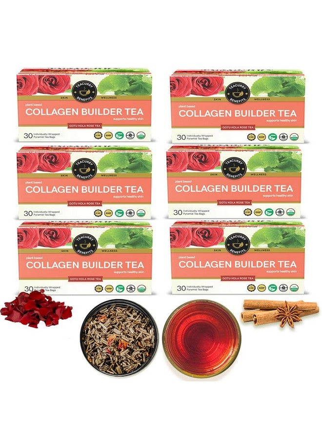 TEACURRY Collagen Builder Tea (6 Month Pack | 180 Tea Bags) - For Skin, Hair, Nails (With Vitamin C, Biotin) - Image 1