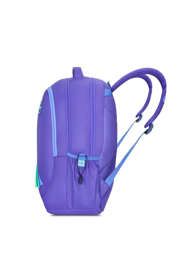 SKYBAGS KLAN 08 Unisex Purple School Backpack - SK BPKLAS9PPL - pzsku/Z3E1AC805A4593BB9B8A0Z/45/_/1735030970/2b102c41-f945-4a37-9496-7a989cb512c0