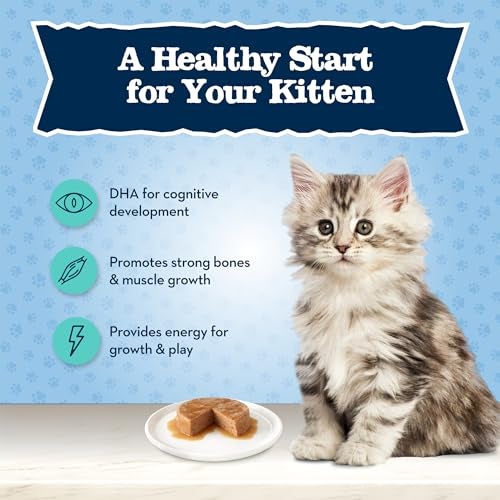 Blue Buffalo Baby BLUE Natural Kitten Wet Cat Food Paté Variety Pack, Healthy Growth Formula with DHA, High-Protein & Grain-Free, Chicken and Salmon Recipes, 3-oz Cans (6 Count, 3 of Each) - Image 4